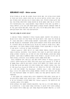 [영화분석] 비포어 선라이즈 - Before sunset에서 Before sunrise까지-2