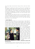 감상문- 마음을 훈훈하게 만드는 영화 포레스트 검프를 보고나서-3