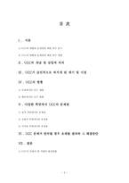 작문과독서 UCC의 현황과 문제점-2