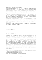 작문과독서 UCC의 현황과 문제점-5