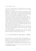 작문과독서 UCC의 현황과 문제점-10