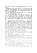 바람직한 한류의 미래상과 발전전략-3