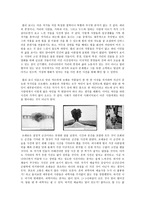 뤼미에르 감상문 뤼미에르 감상 뤼미에르 사진 뤼미에르 후기 뤼미에르 소개-3