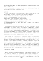 원서번역 Social Work Practice A Generalist Approach A Generalist Approach-5