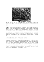 히틀러 나의 투쟁 을 통해본 독일의 전체주의와 민족의 문제-4