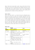다큐멘터리 분석 - 침묵의 시선-2