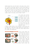 독후감 시장을 움직이는 49가지 마케팅의 법칙-2
