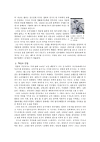 한국영화 한국영화 문제점 한국영화 초창기 한국영화 스크린쿼터제 문제 조폭영화 문제점 독립영화 발전 한국 영화 문제점 해결방안-4