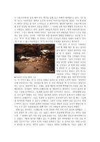 제주 4 3에 관한 보고서-2
