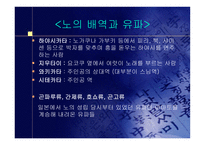 일본의 전통 예능과 예술-10