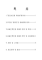 감상문 언어학 중심으로 감상한 호로비츠를 위하여-2