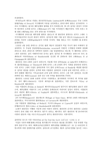 역사영화로 본 십자군 원정 킹덤 오브 헤븐 을 통한 역사 분석-7