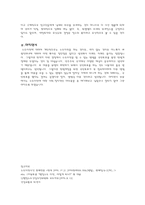 신행정수도건설과 관련된 헌법쟁점-5