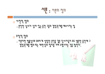 이혼 이혼 정의 이혼 종류 이혼 제도 이혼 현황 이혼에 따른 문제점 이혼 이론-3