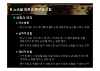 소송물과 소의 병합-9