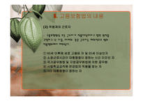 고용보험법 고용보험목적법-10