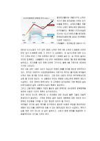 신빈곤층의 덫에 걸린 한국호 신빈곤층 신빈곤층 발생배경 신빈곤층 사례-16
