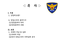 경찰감찰제도와 기능강화 방안 감찰제도 정의 경찰조직 통제기구 경찰통제 의의-2
