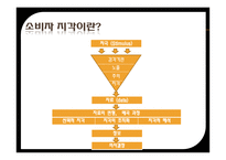 잘못된 소비자 지각 사례 잘못된 소비자 지각 정의 잘못된 소비자 지각 신라면 블랙-7
