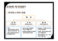 잘못된 소비자 지각 사례 잘못된 소비자 지각 정의 잘못된 소비자 지각 신라면 블랙-8