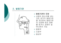 언어의 소리 음성학 음성학의 하위 분야 언어의 소리 음성학 발음기관 언어-7