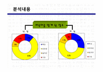 대학생들의 표준어 사용 인지도 조사-13