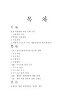 경찰 재량권 남용및 실태와 문제점 그리고 통제 방안 경찰 재량권 의의 경찰 재량권-2