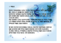 가족미술심리치료-13
