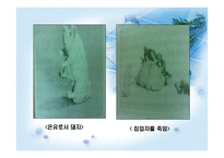 가족미술심리치료-19