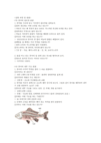 붕어 해부 예비보고서-3