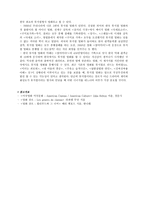뮤지컬 장르의 역사-7