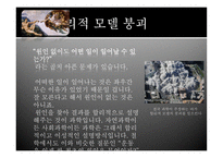과학의 시대에 우리는 솔직히 우주에 어떤 방향성이나 목적이 있다고 믿을 수 있는가-14