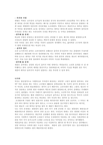 사회과학 고전읽기 세종대왕의 업적 및 그에 대한 평가-5