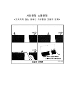 사회문제 노동문제 지켜지지 않는 장애인 의무할당 고용의 문제-1