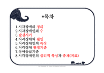 사회과학 시각장애인의 심리-2