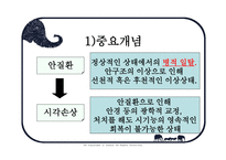 사회과학 시각장애인의 심리-4