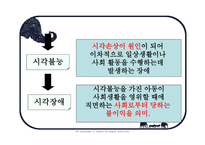 사회과학 시각장애인의 심리-5