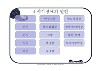 사회과학 시각장애인의 심리-12