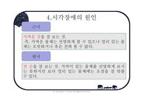 사회과학 시각장애인의 심리-13