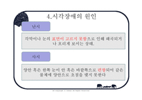 사회과학 시각장애인의 심리-14