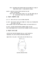 사회과학 프로이트의 정신분석이론-2