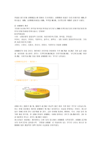 사회과학 성매매특별법과 성매매에 대한 고찰-5