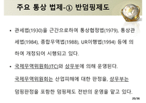 미국의 통상관리기구와통상법규-20