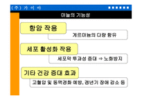 마늘 을 이용한 기능성 식품의 개발-6