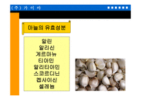 마늘 을 이용한 기능성 식품의 개발-7