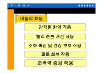 마늘 을 이용한 기능성 식품의 개발-8