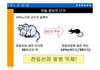 마늘 을 이용한 기능성 식품의 개발-11