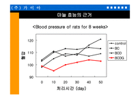 마늘 을 이용한 기능성 식품의 개발-13