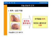 마늘 을 이용한 기능성 식품의 개발-14