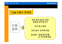 마늘 을 이용한 기능성 식품의 개발-16